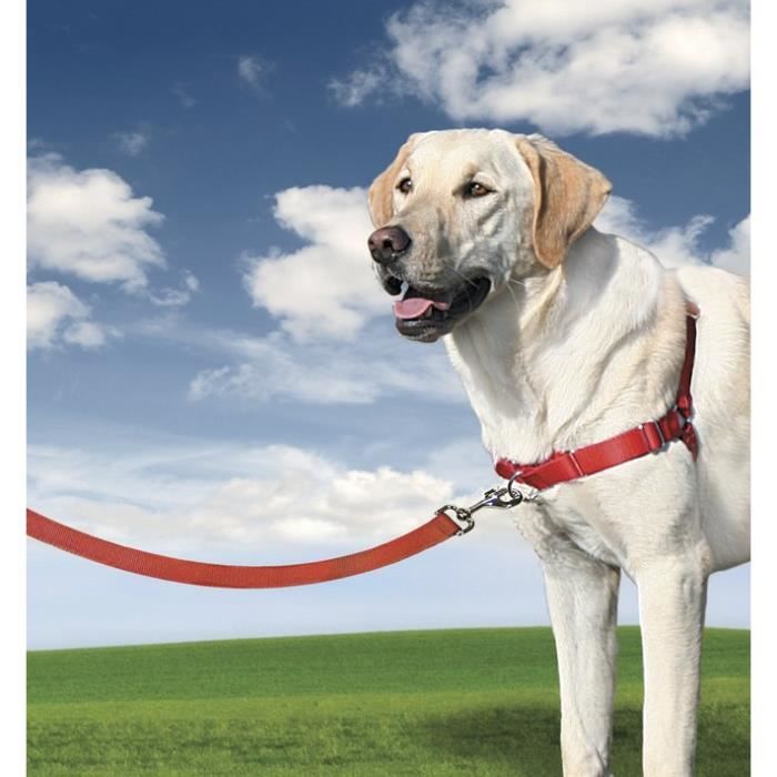 Harnais L Easy Walk® - EASYWALK - Rouge - Pour chien Harnais L Easy Walk® - EASYWALK - Rouge - Pour chien
