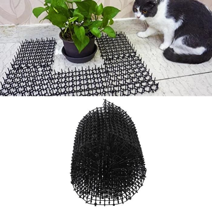 Protecteur de tapis pour chat, bouchon anti-rayures en plastique