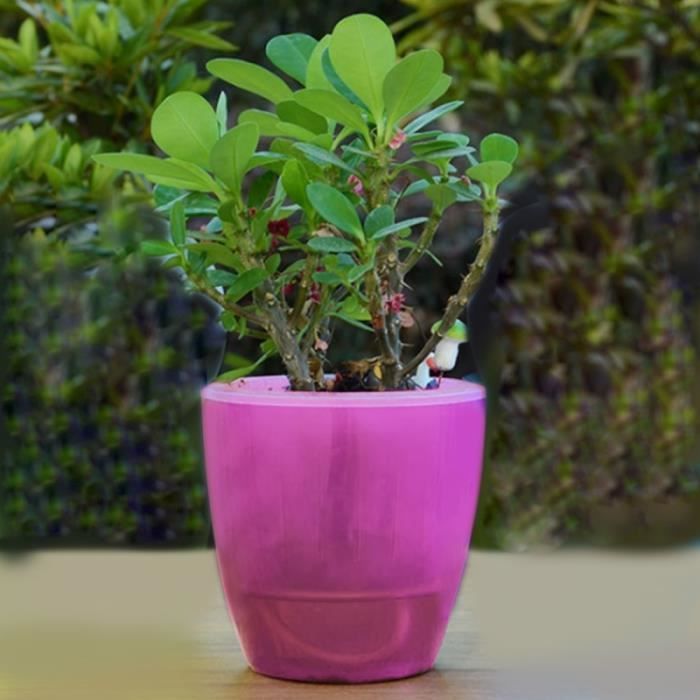Pot De Fleur Rose Pots à Fleurs Paresseux Automatique Hydroponique Absorbant Leau En Plantes Résine Circulaire En Plastique En
