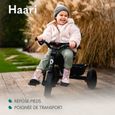 LIONELO Haari - Tricycle bébé évolutif - Jusqu'à 25 Kg - Siège réversible - Grand Panier Sac - Porte-gobelet - Roue Libre - Limited-1