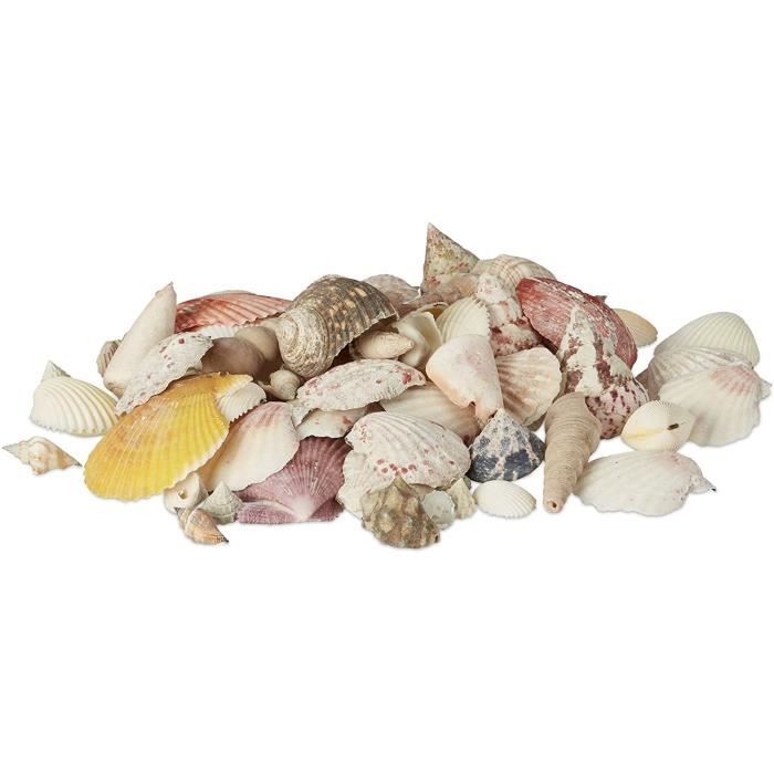 150 Coquillages Naturels Blancs Pour Décoration - Coquilles Saint-Jacques 1,5-3 Cm - DIY, Bijoux, Aquariums, Vases