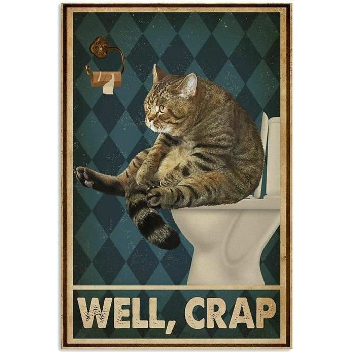 A1 30x40cm Affiche Vintage En Metal Avec Chat Well Merde Pour Toilettes Decoration Murale Humoristique Homme Bar Gr Cdiscount Maison