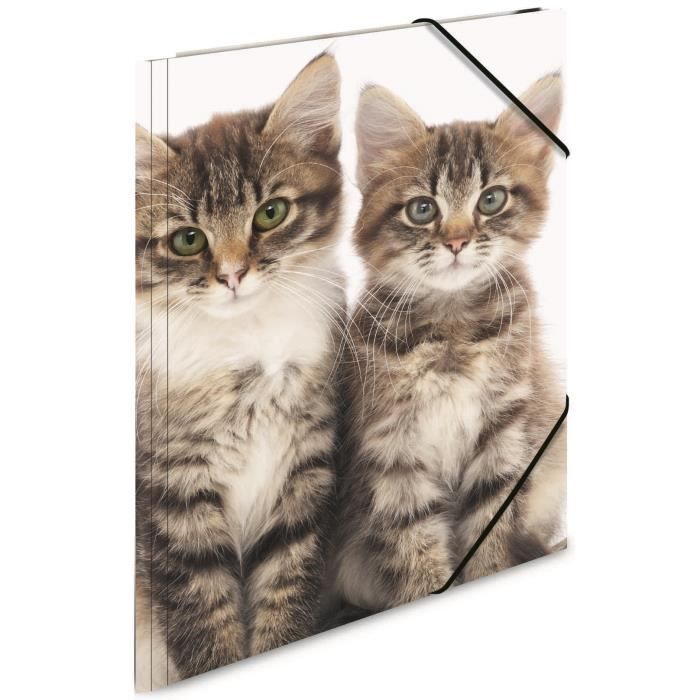 Chemise 3 Rabats Et Elastique Polypro Pour Motif Chat Cdiscount Beaux Arts Et Loisirs Creatifs Chemise 3 Rabats Et Elastique Polypro Pour Motif Chat Cdiscount Beaux Arts Et Loisirs Creatifs
