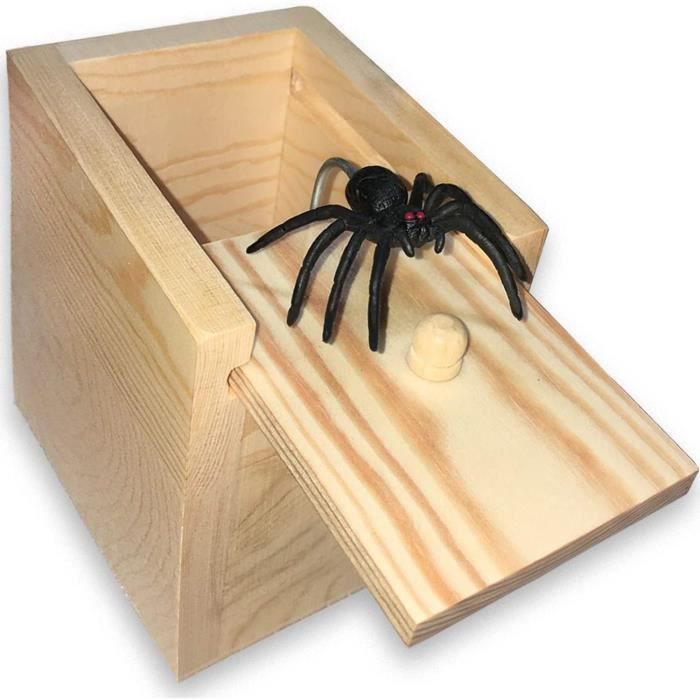 Boîte Surprise Araignée Spider Prank - KAKOO - Coffret Farce et Attrape  Halloween - Blanc - Mixte - 1pcs