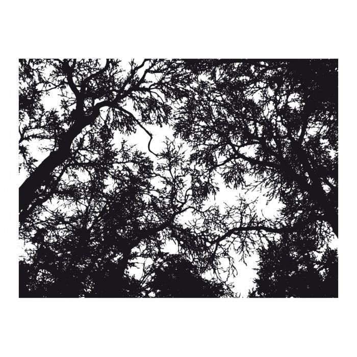 Scarica Gratis Images De 200x154 Chic Papier Peint Noir Et Blanc Foret Nature dernière par