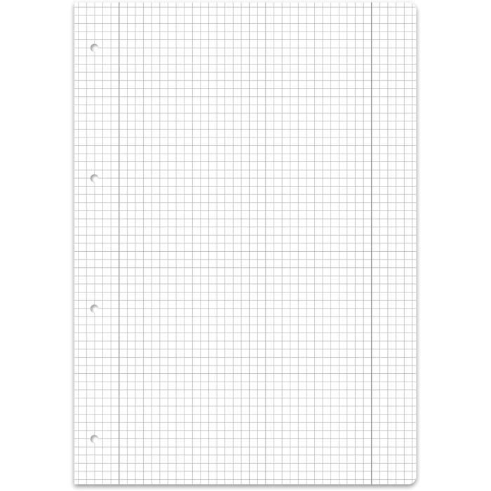 Lot De 6 Cahiers Skifidol Brainrot à Carreaux 5 Mm – Format A4 21x29,7 Cm Pour L'école + Porte-clé Sifflet Offert