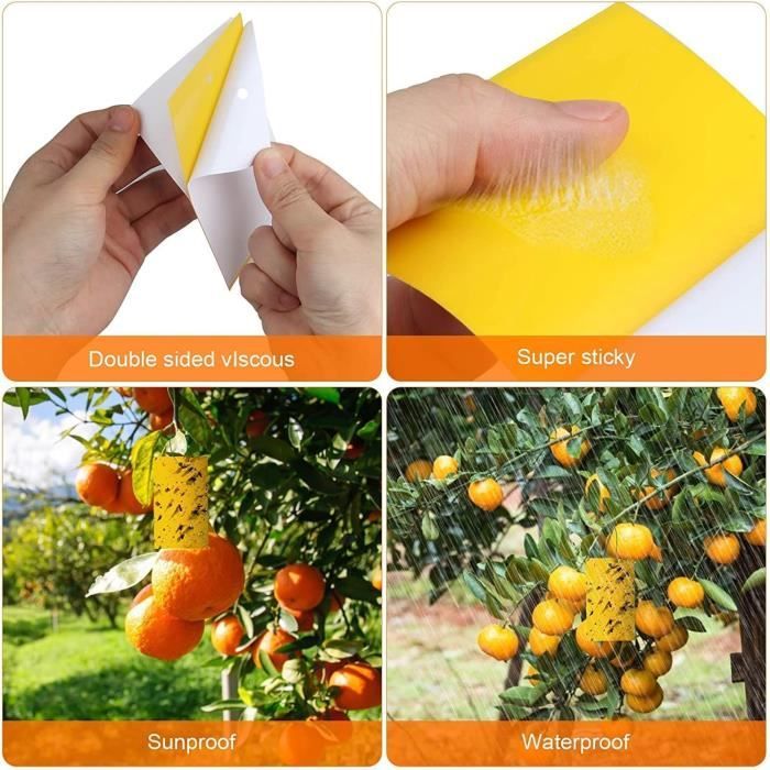 Piège à insectes 54 pièces, piège à mouches collant double face jaune ...