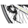 Aluminium Vélo électrique femme ADORE Versailles 28''Ebike blanc-vert 250 Watt Li-Ion 36V/10,4 Ah 7 vitesses-2