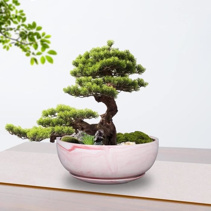 Pot en fibre pour grand bonsai - Cdiscount