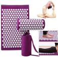 Kit d'Acupression Tapis Coussin de Massage Oreiller d'Acupuncture pour Yoga,Matelas de Relaxation,Traitement des Douleurs Tensions-0