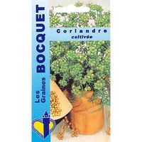 Sachet de  Coriandre cultivée - 5 g - légume feuille - LES GRAINES BOCQUET