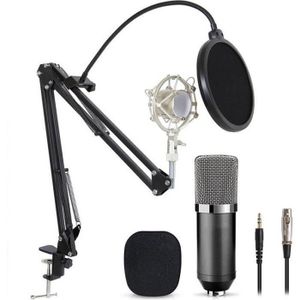 MICROPHONE SKY-Microphone à Condensateur  podcasting Studio E