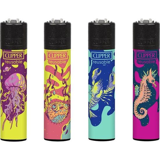 Sunmondo Lot De 4 Briquets Clipper Motif Crânes – Édition Collector, Rechargeables, Qualité Iconique