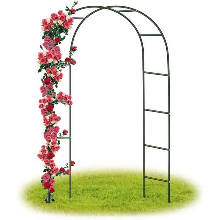 YAOBLUESEA Arche de jardin métallique pour plantes grimpantes,240 x 140 x 38cm -Vert