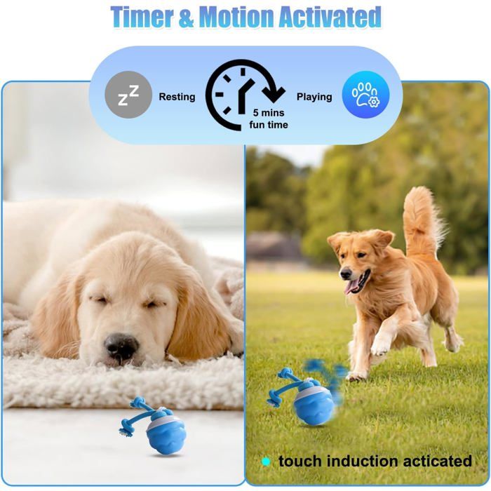 Jouet Interactif pour Chien Balle Interactive pour Chiots Jeux pour Chat Mobile Rechargeable Jeux Chiot Trois Mode Jouer Chien