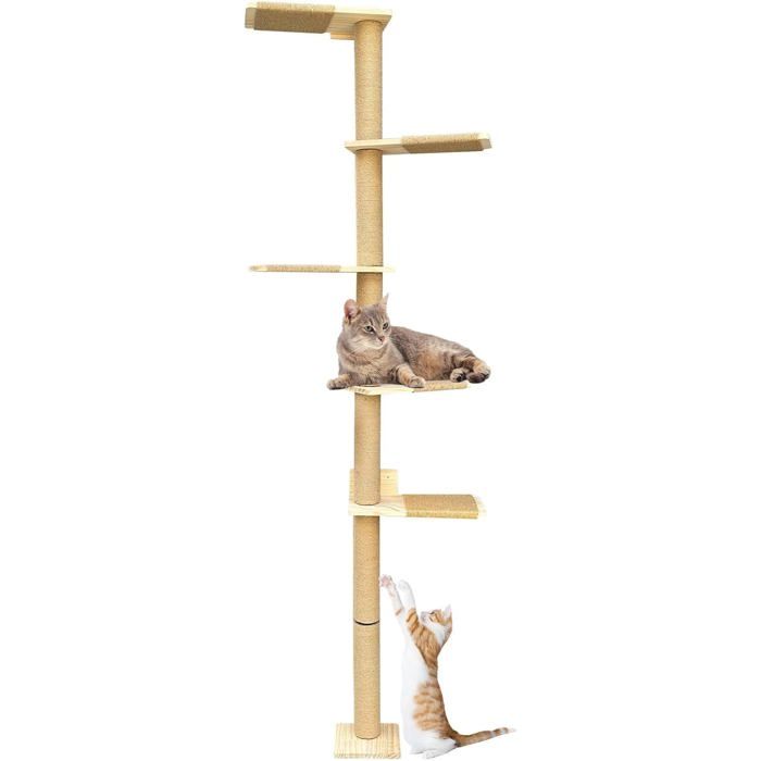 Arbre À Chat Hauteur 205Cm Arbres À Chat Du Sol