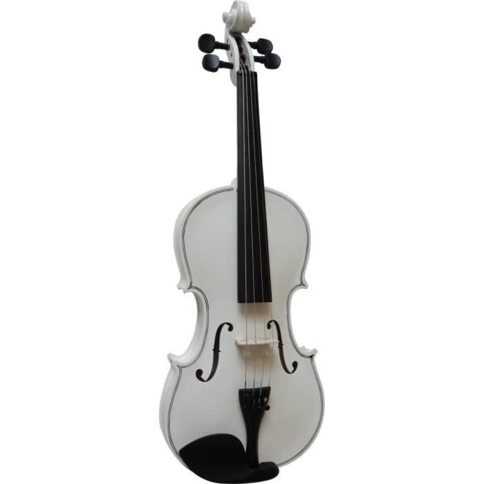 Violon 4/4 SONICAKE QVL-01 En Bois Massif Avec Étui Rigide Et
