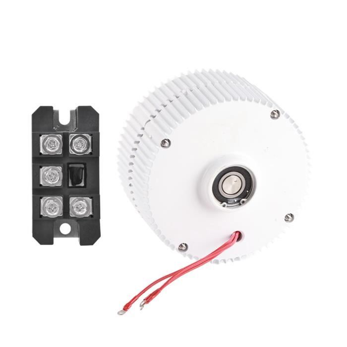 Générateur à Aimant Permanent 800W avec redresseur 12V 24V 48V Dynamo d