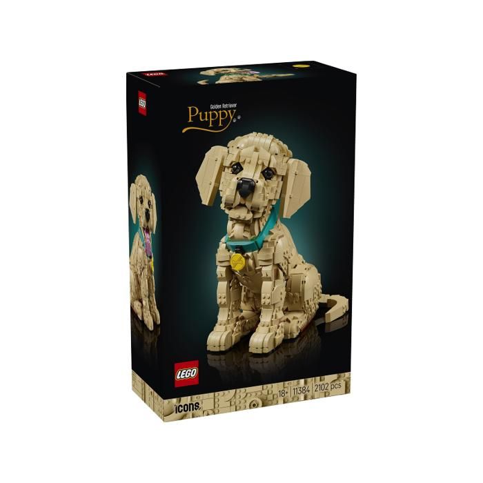 LEGO Icons Le Chiot Golden Retriever 11384 - vue 8