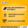 PEDIGREE Junior 48 Sachets fraîcheur en gelée 4 variétés pour chiot 100g (4x12)-2