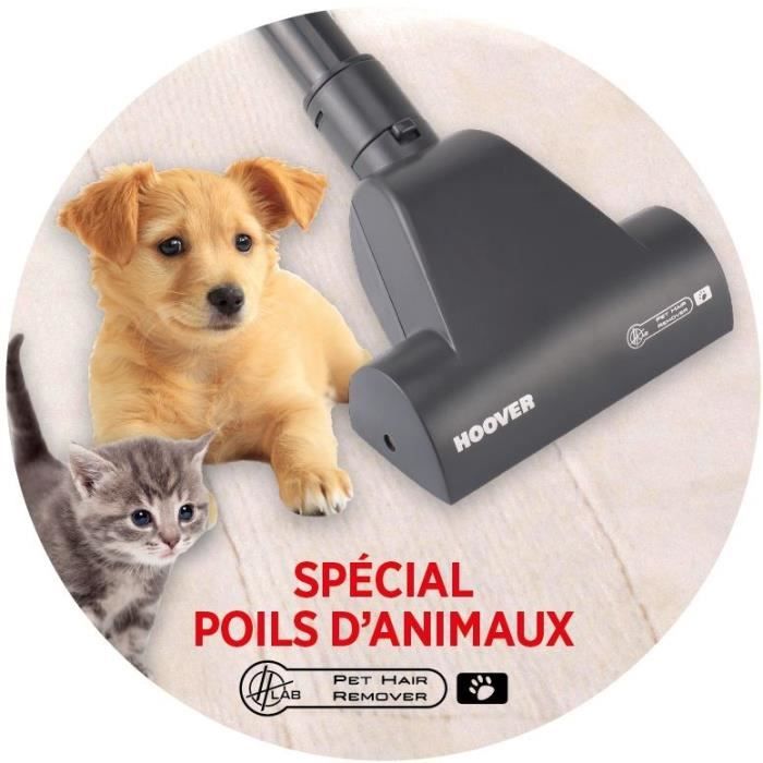 Poils d'animaux – Hoover France