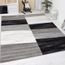 Tapis Design Pour Le Salon Modern Gris Blanc Et Noir 160x220 Cm