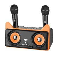 Karaoké Machine Bluetooth avec 2 Microphone Sans Fil, Haut-Parleur de Karaoké Enfant, Lumière LED, Karaoké Professionnel Sono