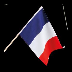 BANDEROLE - BANNIÈRE Drapeau france (30 x 45 cm)