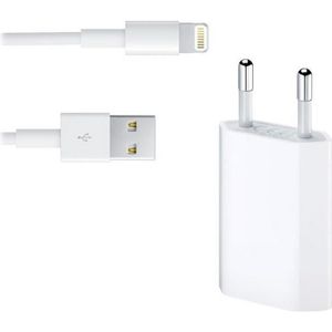 Adaptateur A1401 +Cable USB Blanc Charger Pour iPad 2 , iPad 3