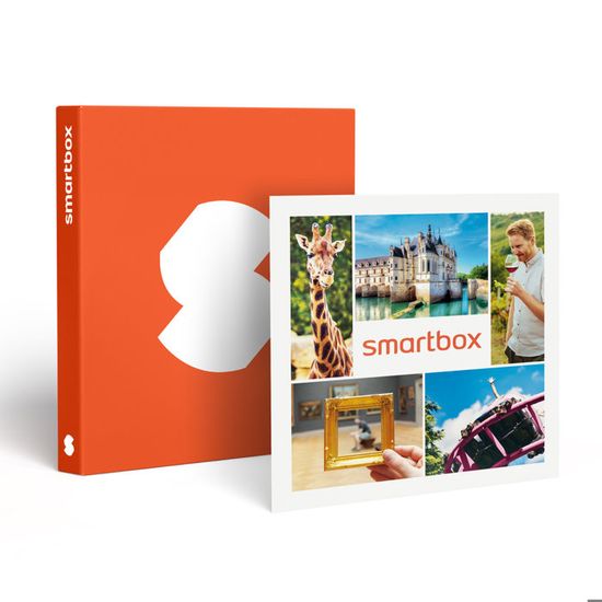 Coffret cadeau Billets pour le Parc Astérix : 2 entrées adulte et 1 entrée enfant en 2026