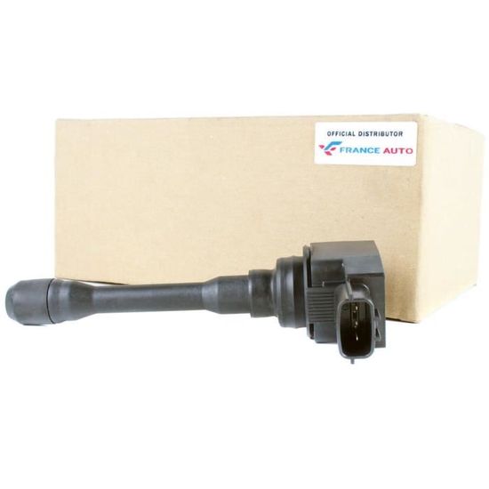Globalautoparts Bobine d'allumage pour Clio II III,pour Dacia,pour Kangoo,pour Kubistar,pour Logan,pour Megane,pour Grand Modus,pour Globalautoparts Bobine d'allumage pour Clio II III,pour Dacia,pour Kangoo,pour Kubistar,pour Logan,pour Megane,pour Grand Modus,pour