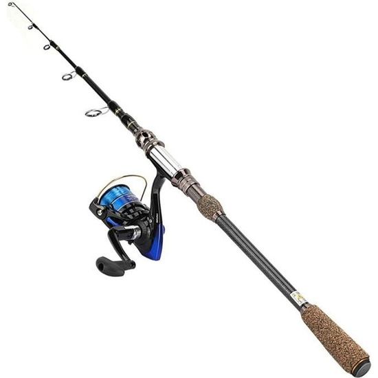 ARAMOX canne à leurre Canne à pêche en mer section courte en Fiber de ...
