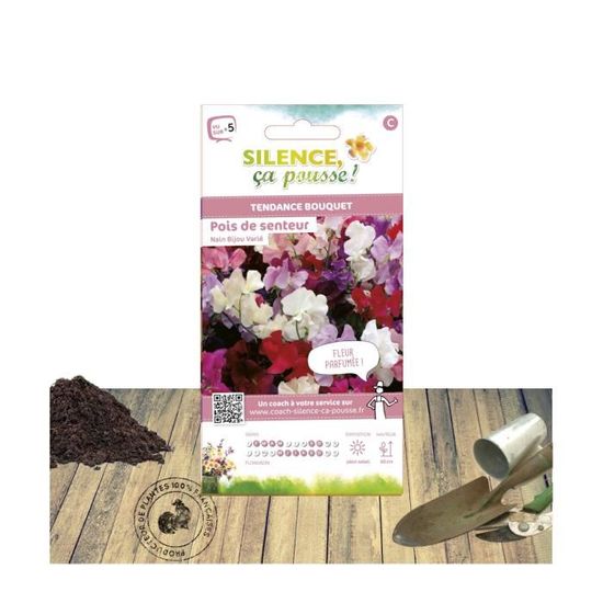 Graines de Pois de senteur nain bijou varié Cdiscount Jardin — free download