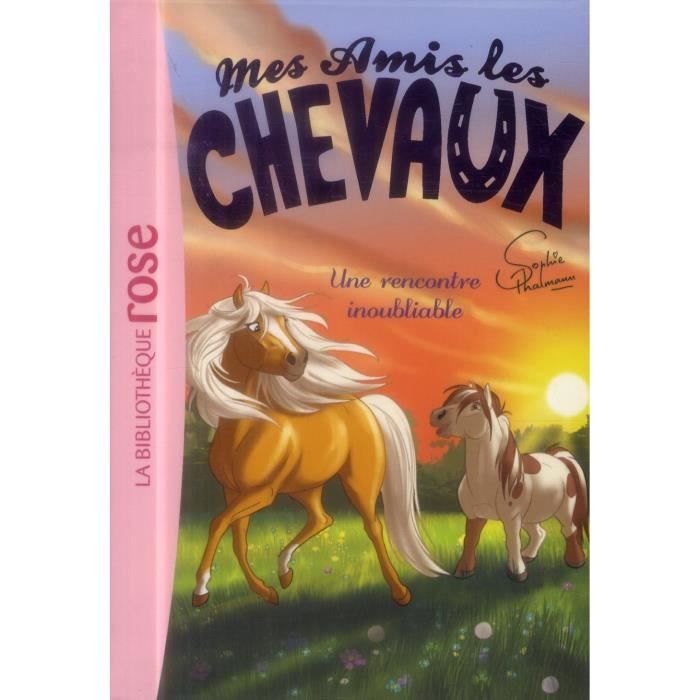 Bibliothèque Rose Mes Amis Les Chevaux Mes amis les chevaux Tome 6 - Achat / Vente livre Hachette Jeunesse