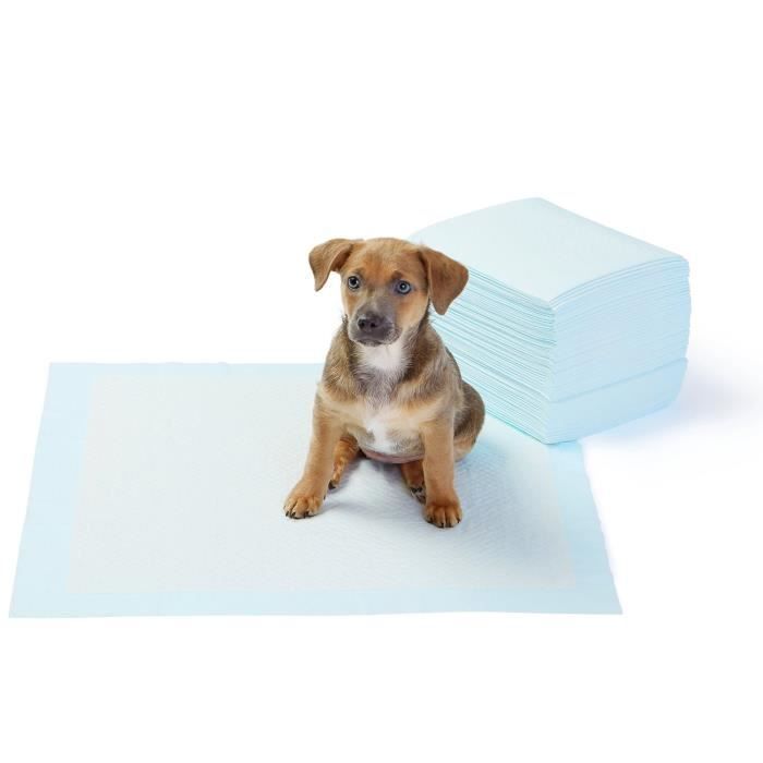 Lot de 50 tapis éducateurs pour apprentissage de la propreté