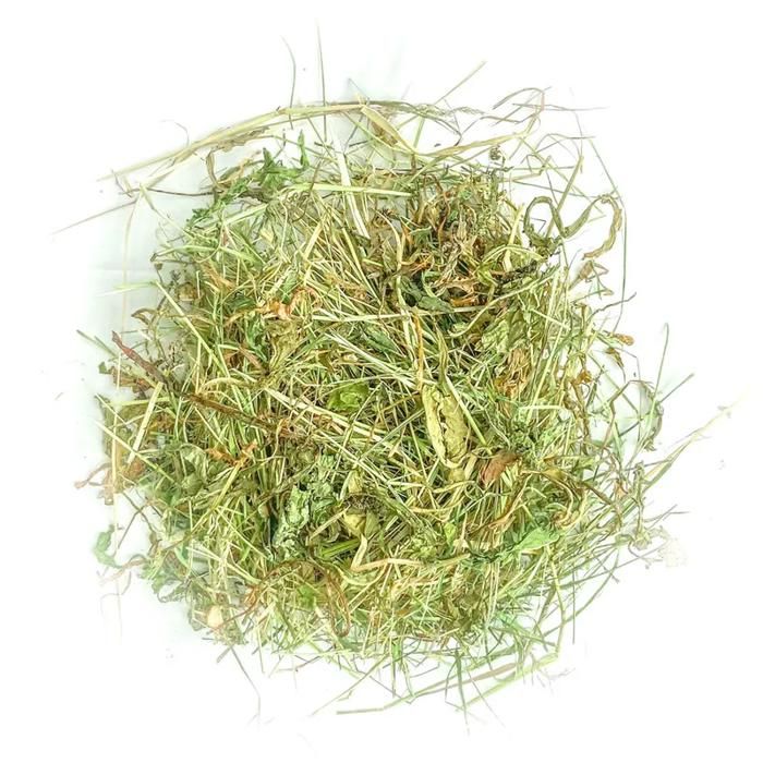 Foin aromatisé pour lapins et rongeurs - Betterave