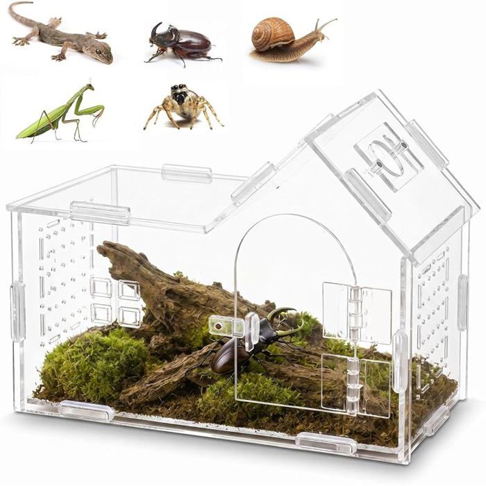 Terrarium Phasme Terrarium à Escargots en Acrylique Boîte alimentation pour Reptiles Mini Terrarium pour Insectes PERCHOIR
