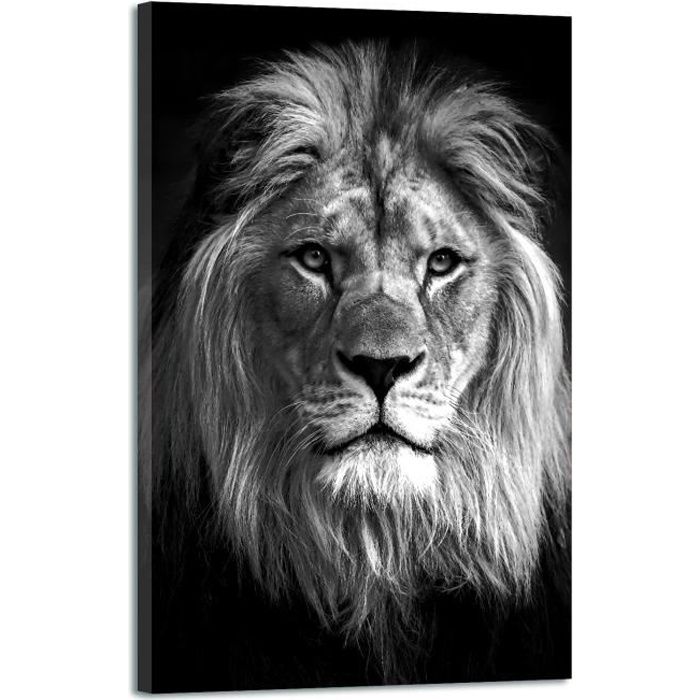 Tableau Lion Decoration Murale Noir Et Blanc 1x80cm Impression Haute Resolution Sur Toile Tendue Sur Un Cadre En Bois Cdiscount Maison