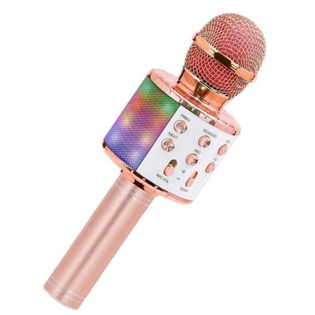 Microphone Enfant, Micro Karaoké Jouet Fille 3-10 Ans Cadeau Anniversaire  Fille 4-9 Ans Garcon Cadeaux de Vacances pour A31 - Cdiscount TV Son Photo