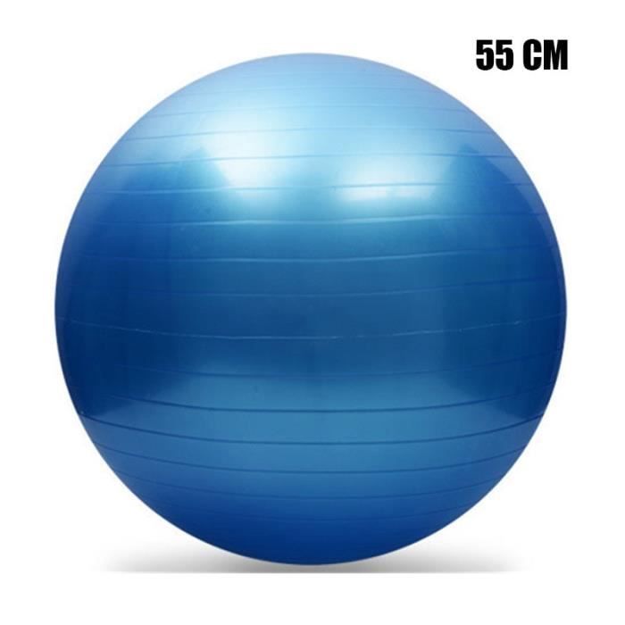 Ballon de Gym, d'Exercices Fitness, Grossesse, Pilates, Yoga, Ballon  d'Equilibre D. 65 cm en PVC Anti-Eclatement (Bleu) - D-Work