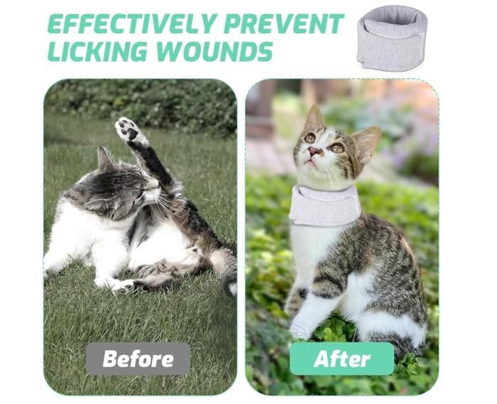 Collerette Chat, Collerettes pour Chat Chiens, Collerette Réglable pour ...
