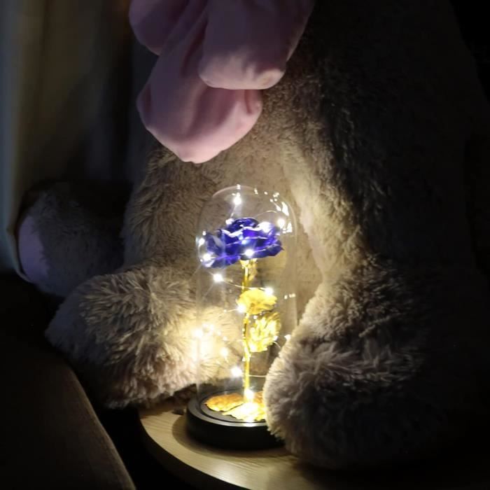Rose éternelle Sous Cloche En Verre - Dôme La Belle Et La Bête - Saint-Valentin
