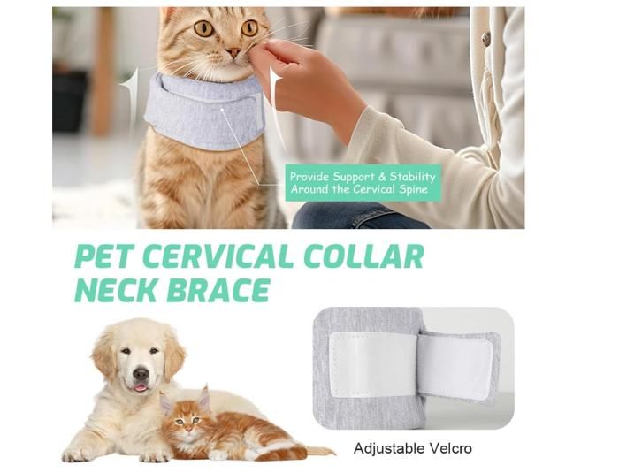 Collerette Chat, Collerettes pour Chat Chiens, Collerette Réglable pour ...