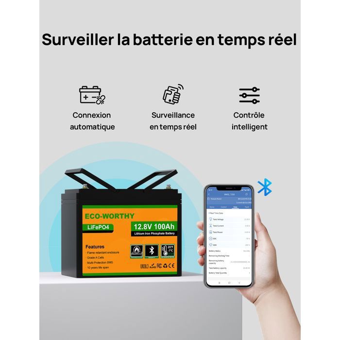 ECO-WORTHY Lot De 2 Câbles Batterie 30 Cm 6 Mm² Cuivre Avec Bornes Anneau M5 - Voiture Camion Moto Solaire