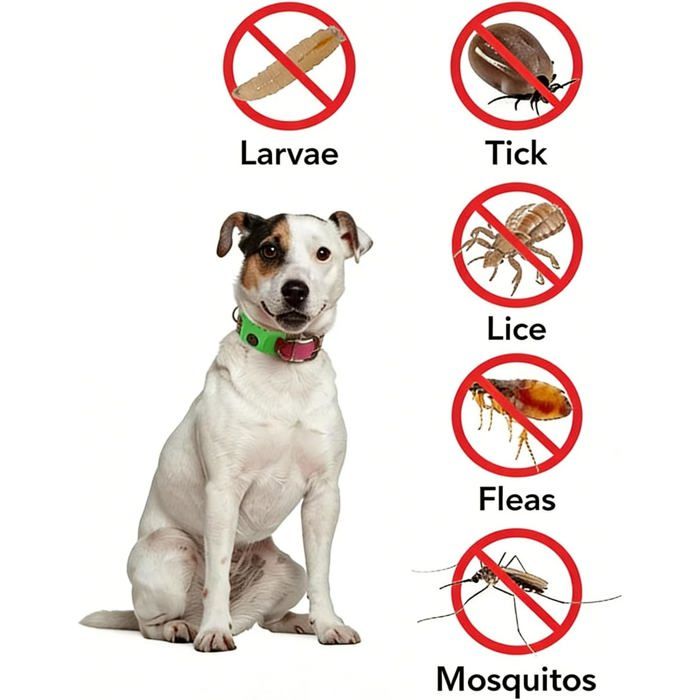 Collier antipuces et tiques Kanivora pour chiens 12 mois de — free download