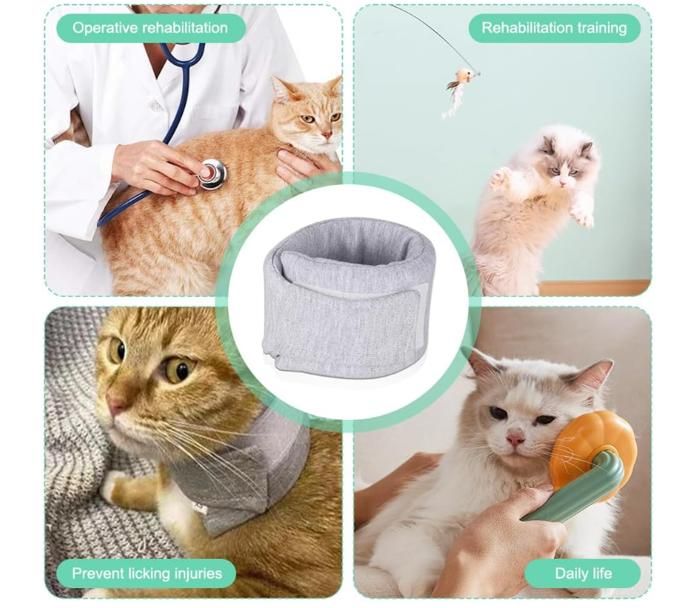 Collerette Chat, Collerettes pour Chat Chiens, Collerette Réglable pour ...