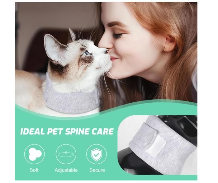Collerette Chat, Collerettes pour Chat Chiens, Collerette Réglable pour ...