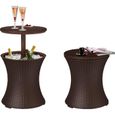 Keter 17194548 CoolBar, Café et table de salon, aspect keter en rotin, marron, 50 x 50,5 x 41,6 cm-0