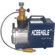 30MPa pompe à air haute pression 45000PSI PCP pompe de compresseur d'air électrique avec moteur à fil de cuivre 220V PCP-0