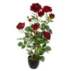ATMOSPHERA CRÉATEUR D'INTÉRIEUR Rosier artificiel pot ciment H74cm - Atmosphera createur d'interieur - Rouge